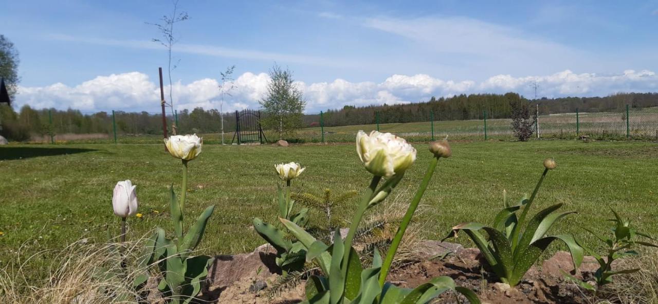 Holiday home Zacisze Pod Brzozami Ketrzyn