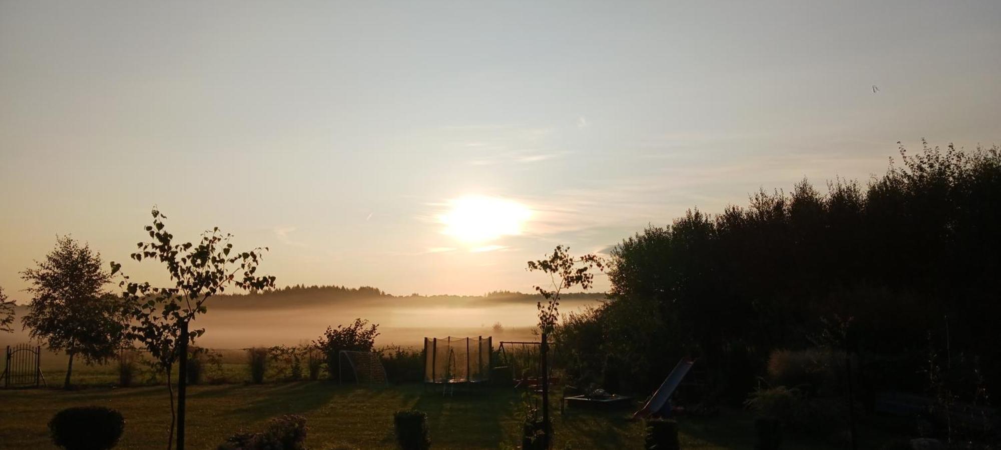 Zacisze Pod Brzozami